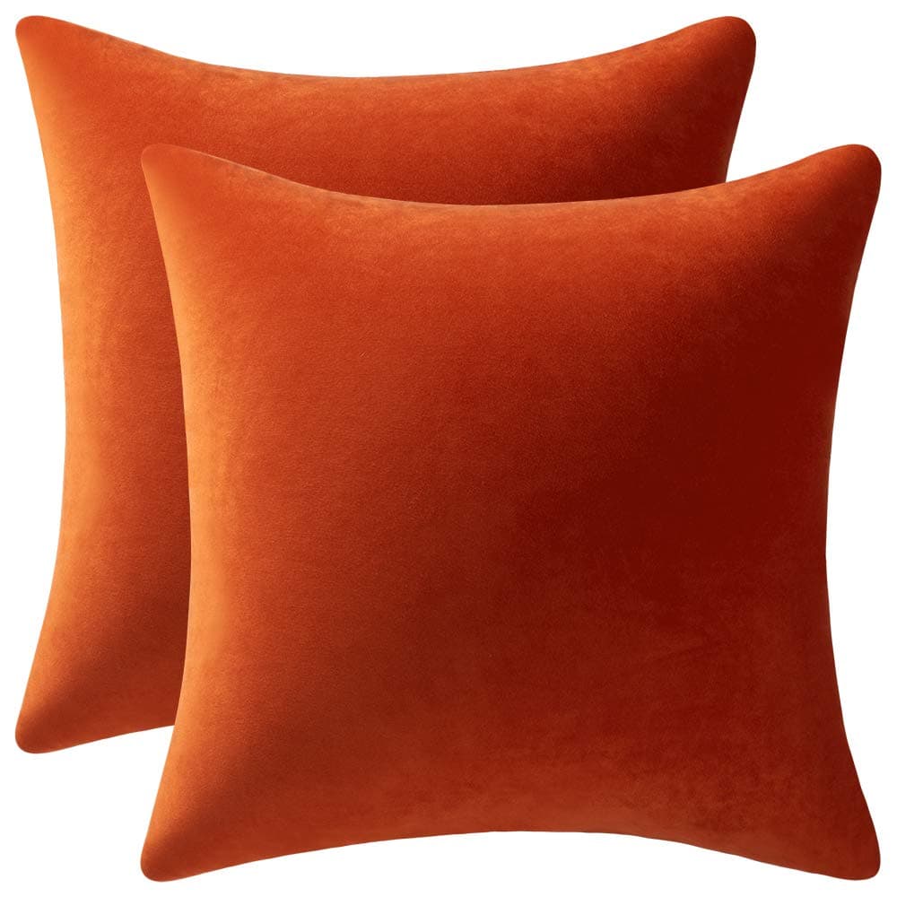 DEZENE Euro Sham Covers 24x24 Burnt Orange: Pack of 2 Cozy Soft Velvet Square Modern Luxury Decorative Throw Pillow Cases for Sofa Couch Living Room Bed Home Decor - 61% off
