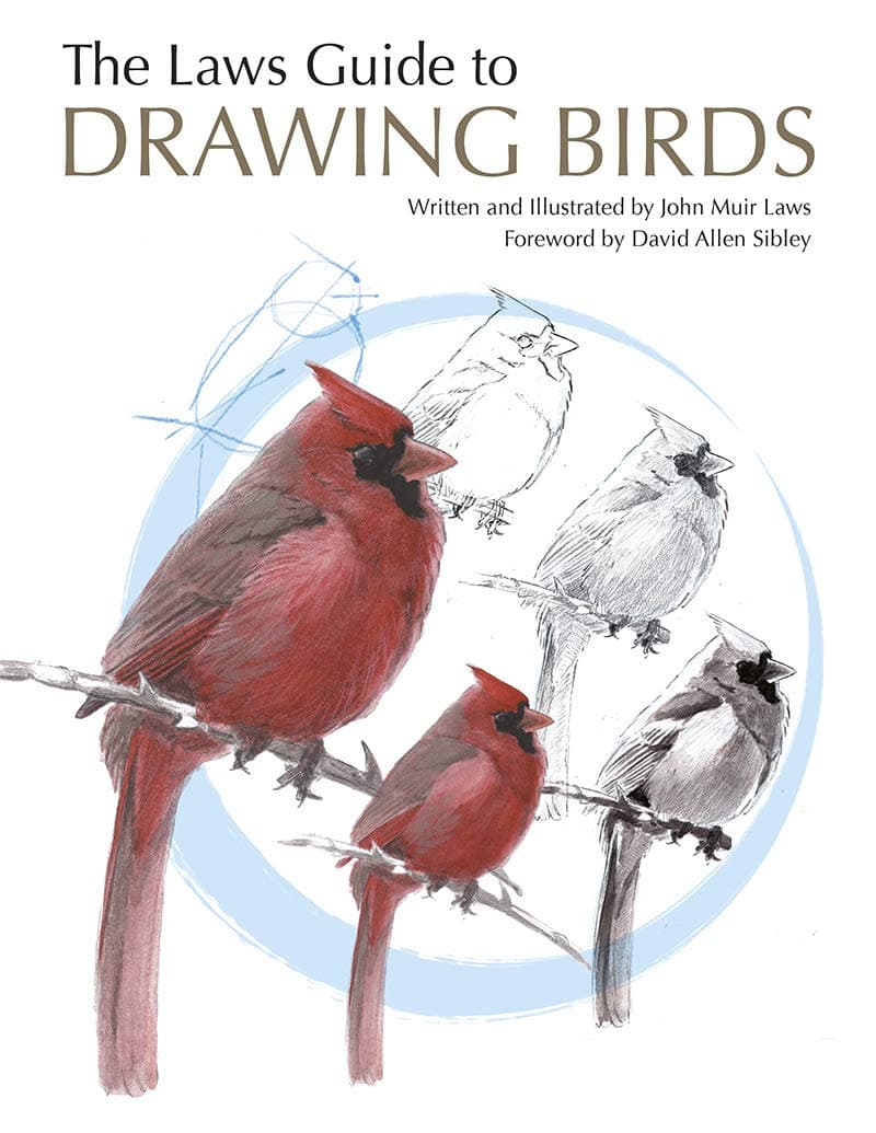 The Laws Guide to Drawing Birds - 86% off